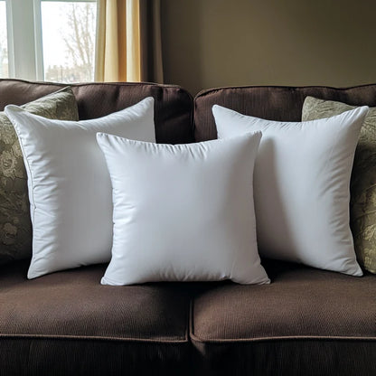 Premium Fluffy Throw Pillow Insert TD06092401